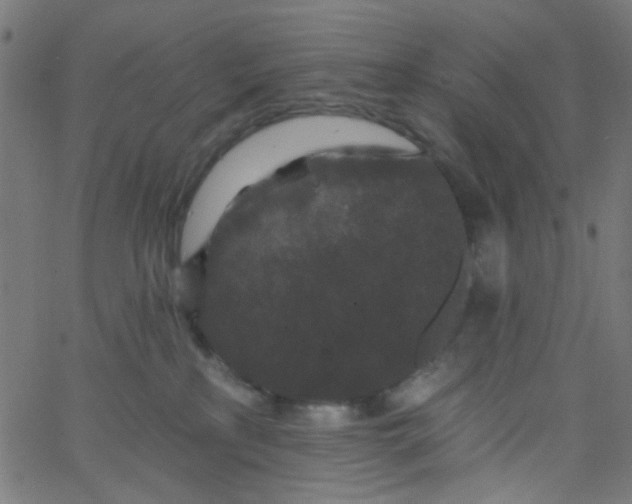 X0000067900233200604271900