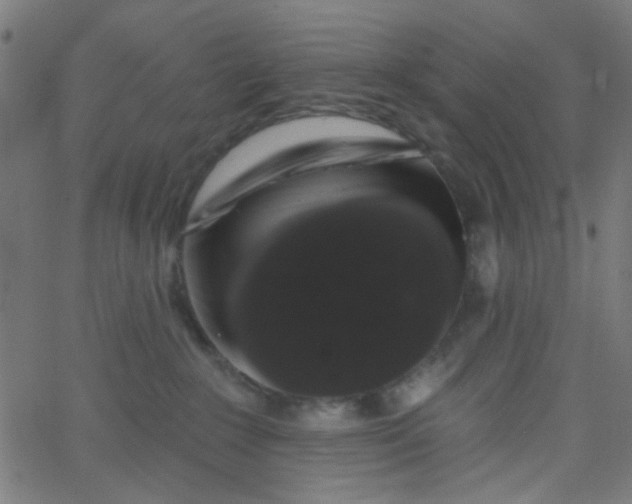 X0000067900235200604271900