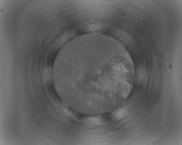 X0000067900236200604271900