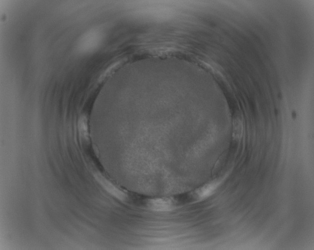 X0000067900238200604271900