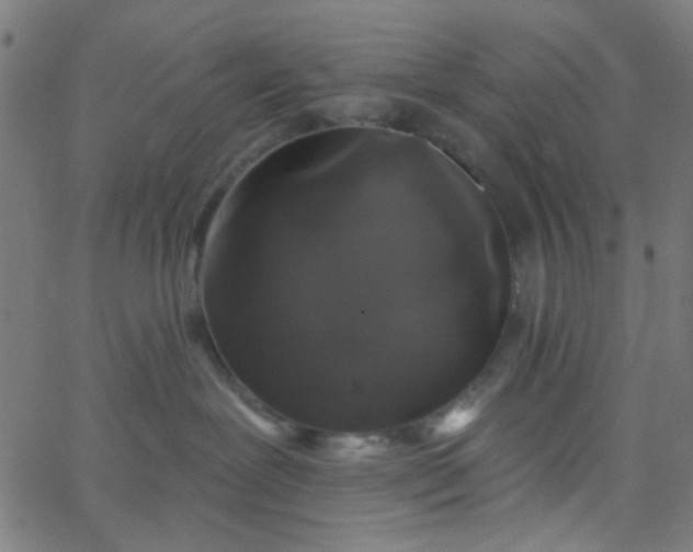 X0000067900239200604271900