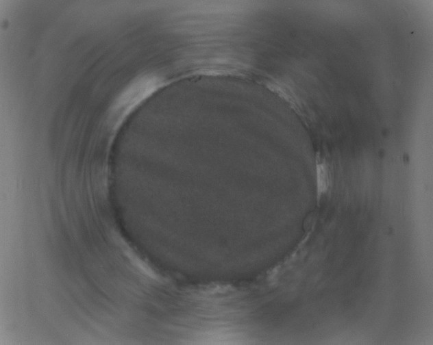 X0000067900243200604271859