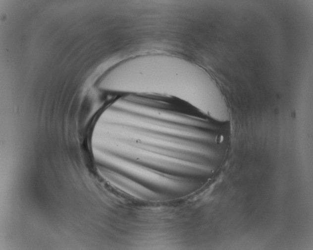 X0000067900244200604271859