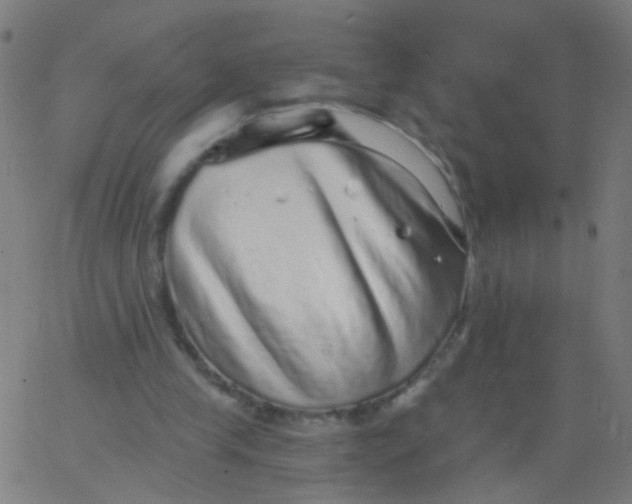 X0000067900245200604271900