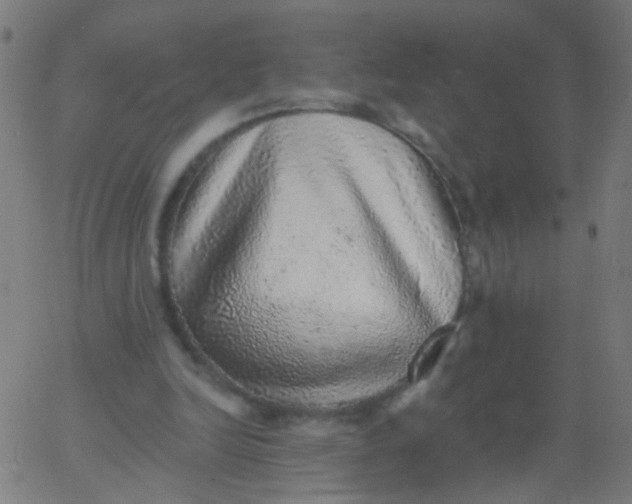 X0000067900246200604271900