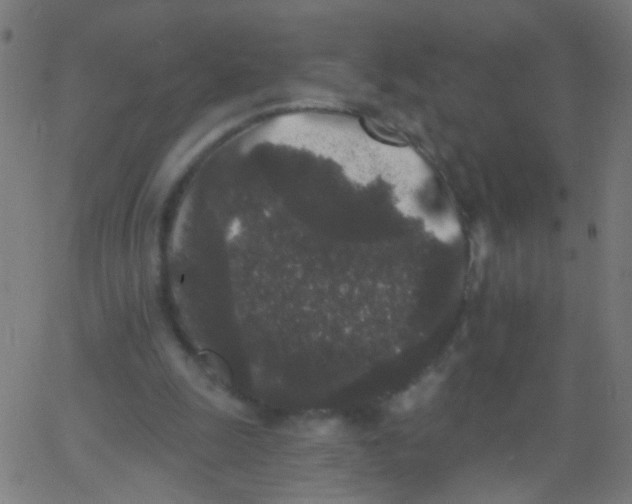 X0000067900247200604271900