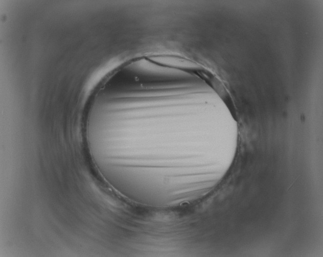 X0000067900248200604271900