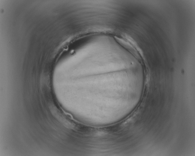 X0000067900249200604271900