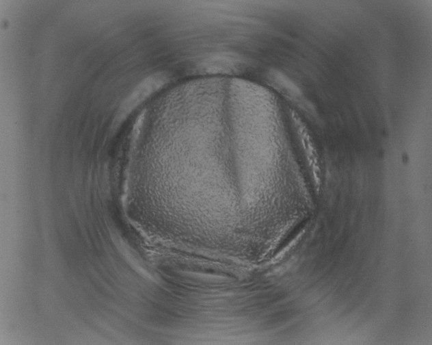 X0000067900250200604271900