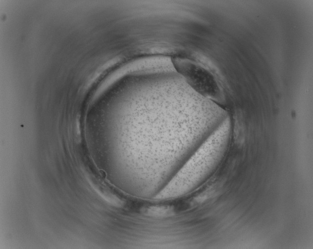 X0000067900251200604271900