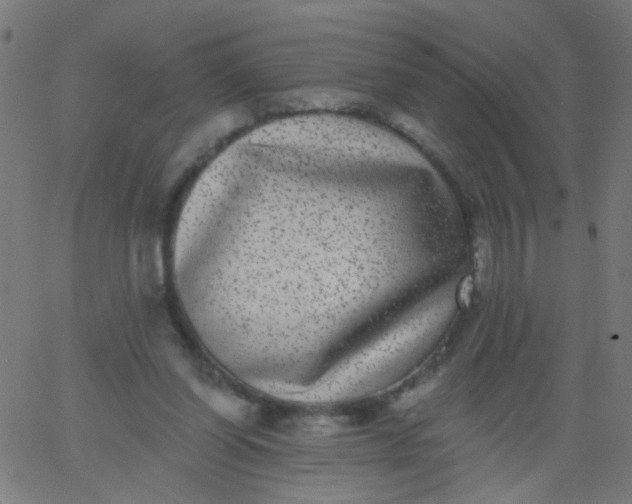 X0000067900254200604271900