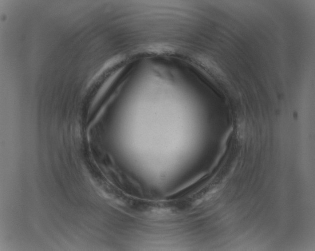 X0000067900256200604271900