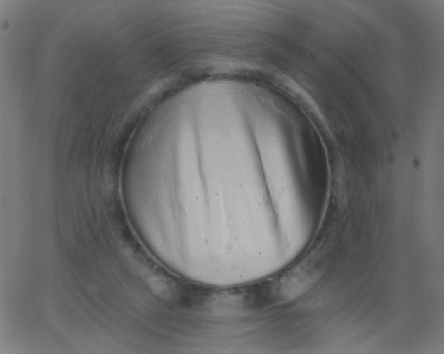 X0000067900257200604271900