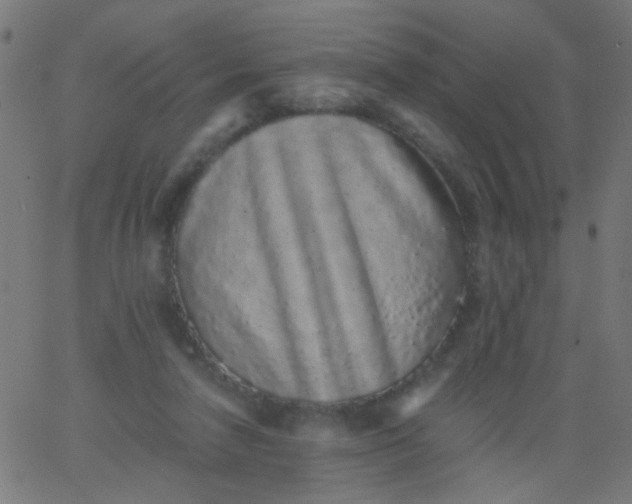 X0000067900258200604271900