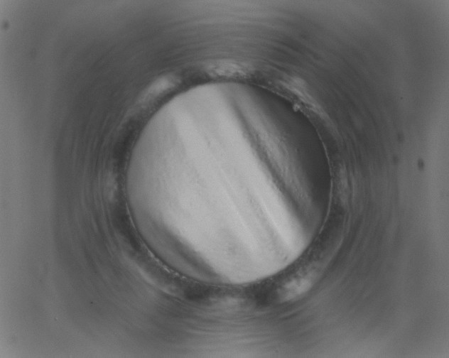 X0000067900259200604271900