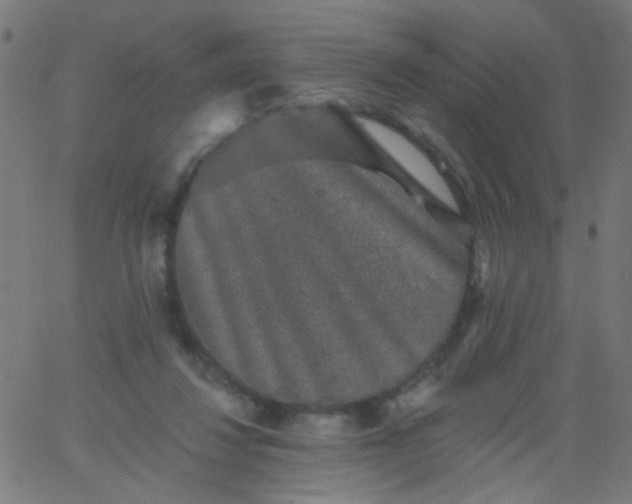 X0000067900260200604271900