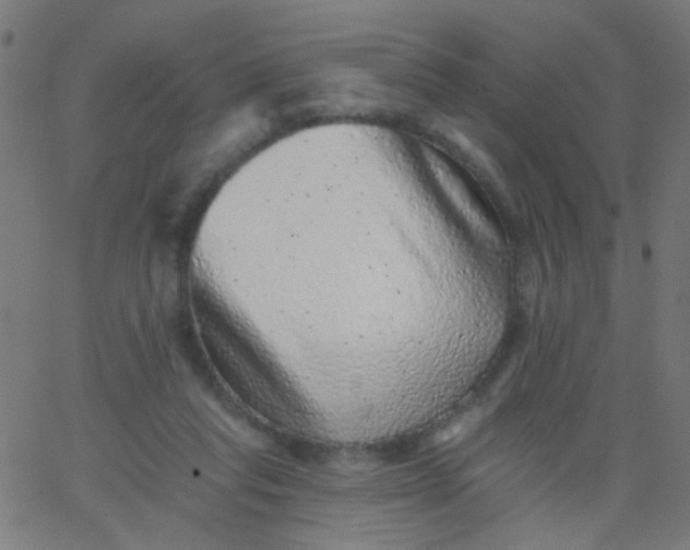 X0000067900261200604271900