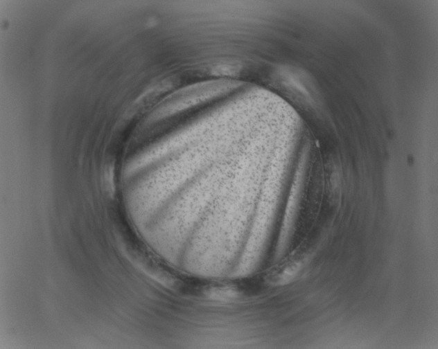 X0000067900262200604271900