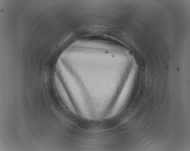 X0000067900263200604271900