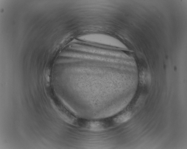 X0000067900264200604271900