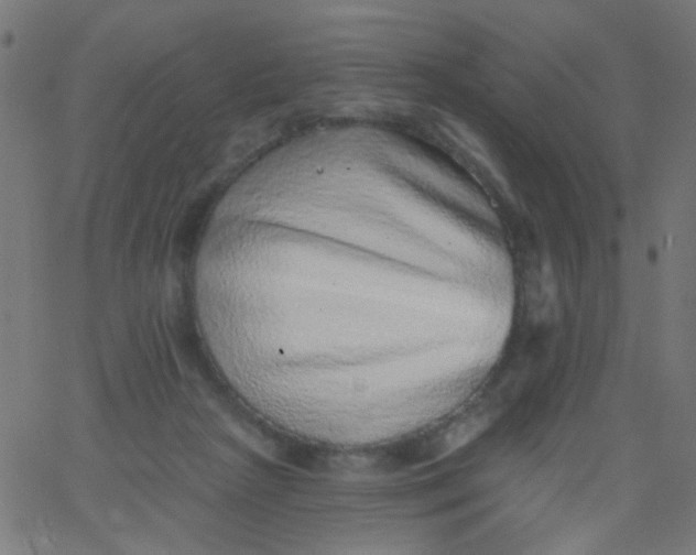 X0000067900265200604271900