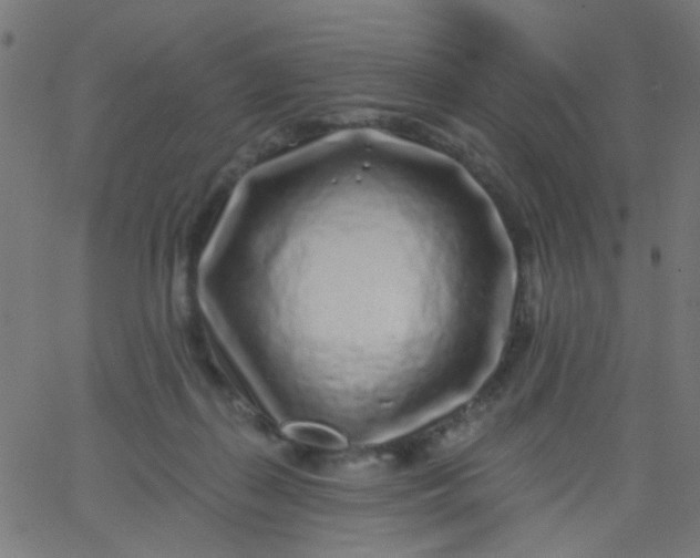 X0000067900267200604271900