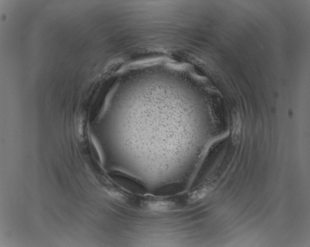 X0000067900268200604271900