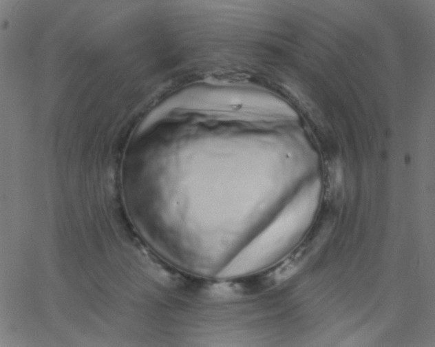 X0000067900269200604271900