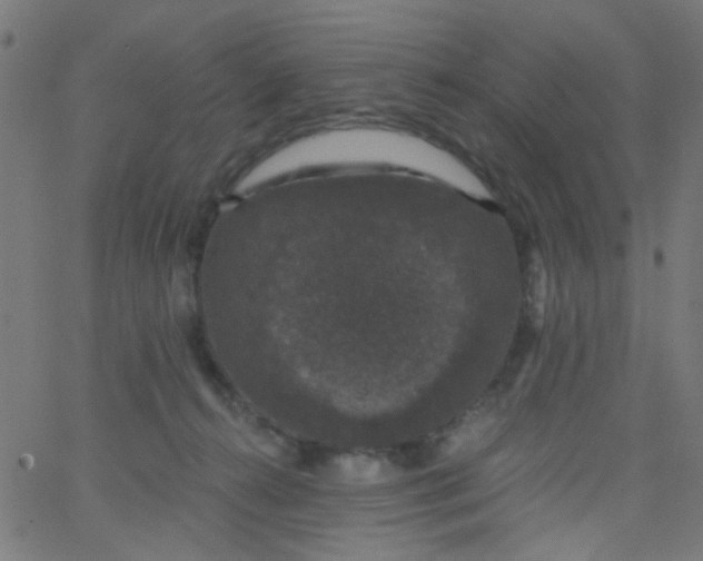 X0000067900272200604271900