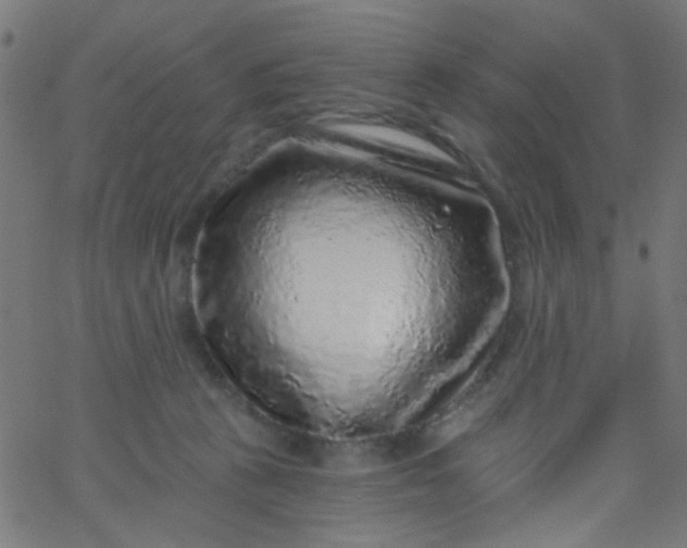 X0000067900273200604271900