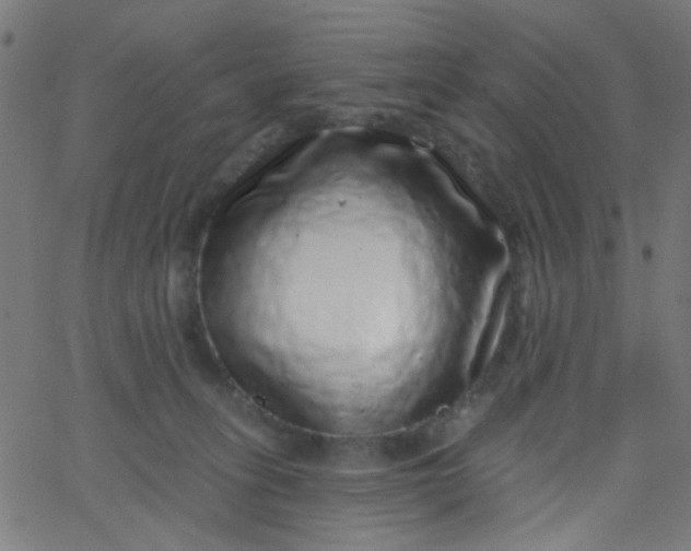 X0000067900275200604271900