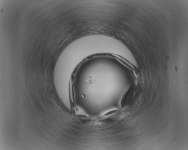 X0000067900276200604271900