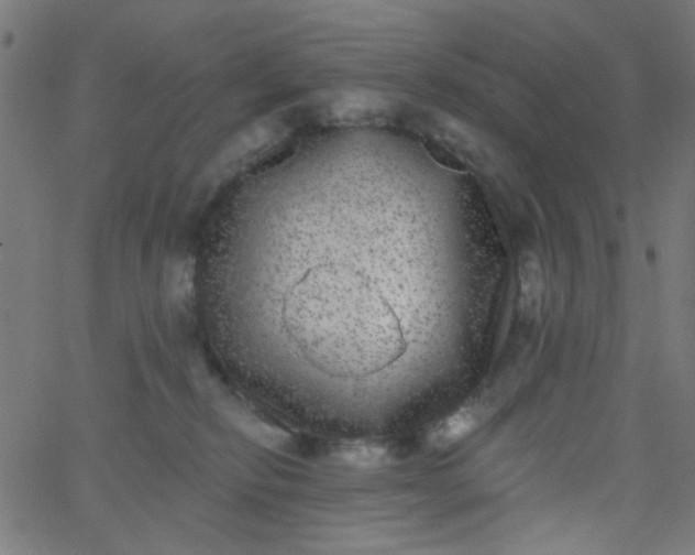 X0000067900278200604271900