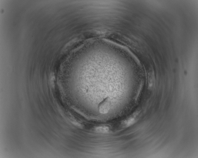 X0000067900279200604271900