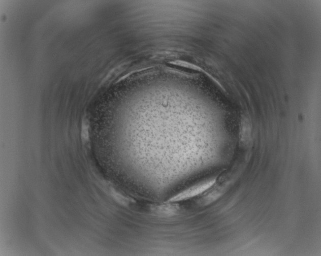 X0000067900282200604271900