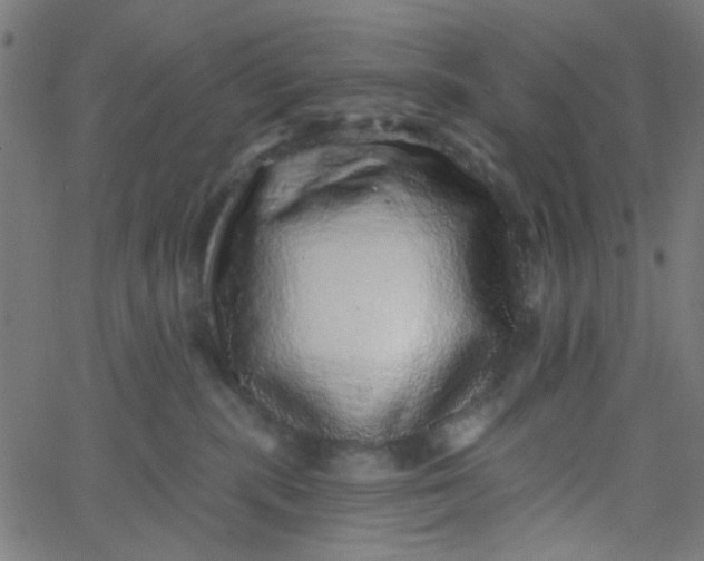 X0000067900283200604271900