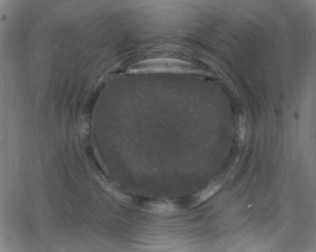 X0000067900284200604271900