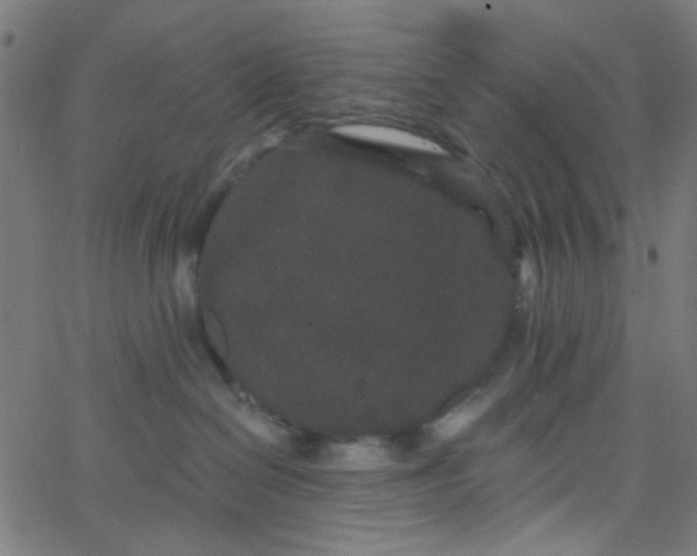 X0000067900286200604271900