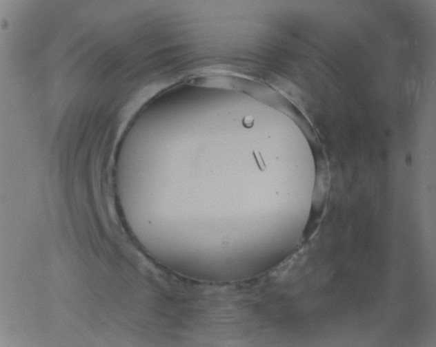 X0000067900289200604271859