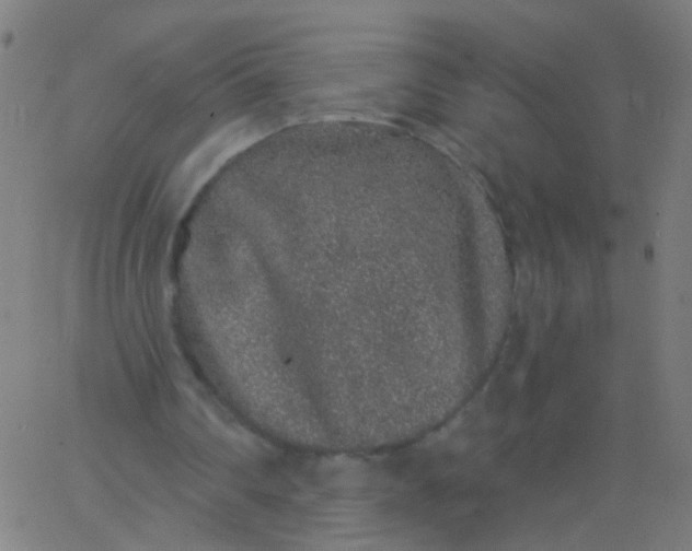 X0000067900290200604271859