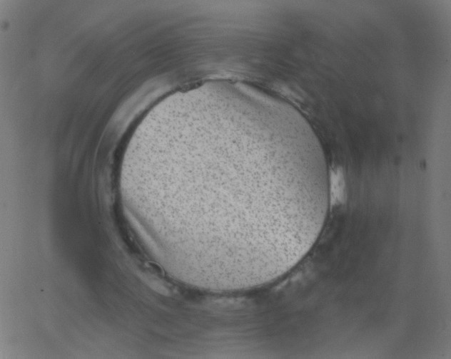 X0000067900291200604271859