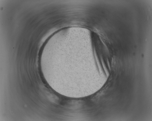 X0000067900292200604271859