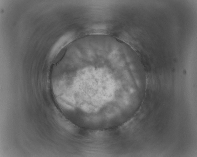 X0000067900293200604271859