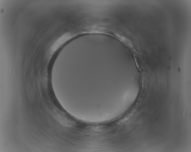 X0000067900295200604271859