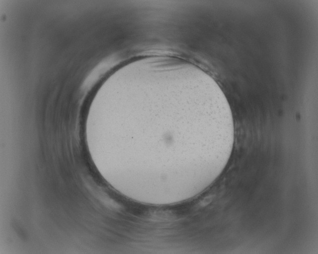 X0000067900296200604271859