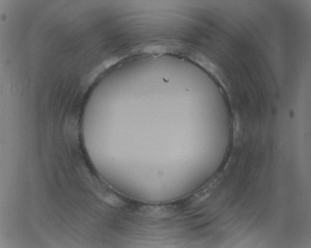 X0000067900297200604271859