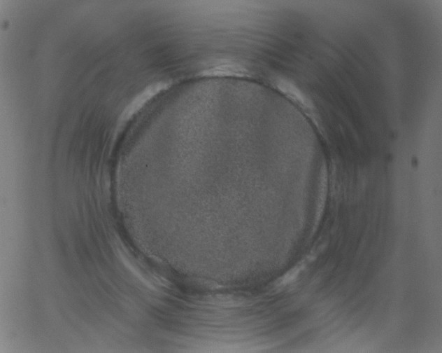 X0000067900298200604271859