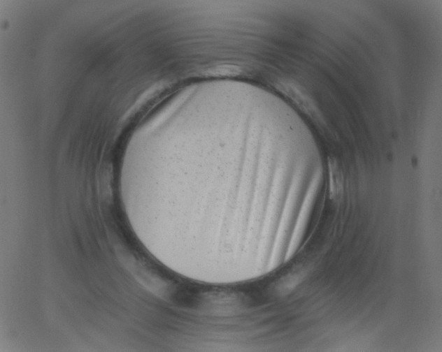 X0000067900300200604271859