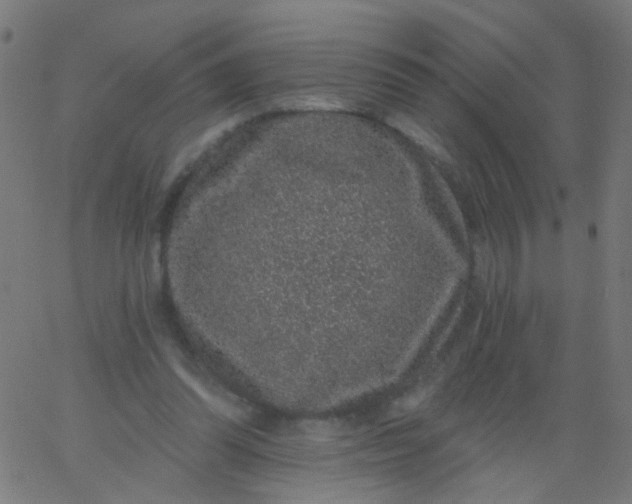 X0000067900302200604271859