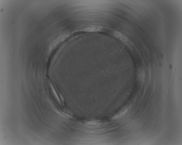 X0000067900303200604271859